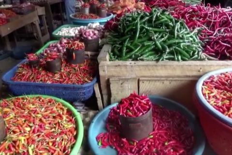 Surplus, Disdagkop & UMKM Kendari pastikan harga cabai stabil
