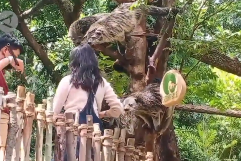 Pengunjung melonjak, Kebun Binatang Bandung atur waktu kunjungan