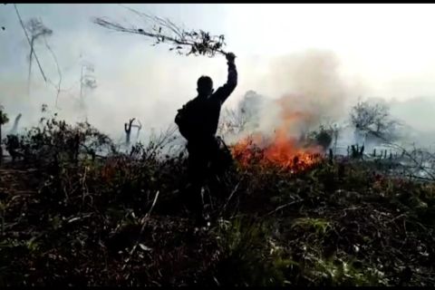 TNI AU berjibaku padamkan karhutla di KKOP Batam