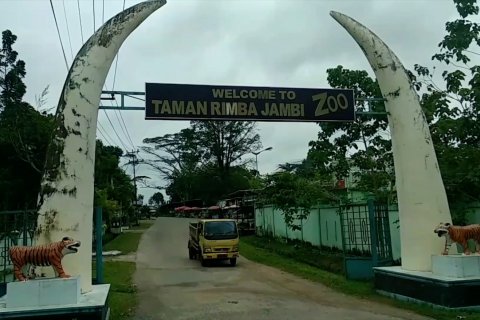 Dinas TPHP ajukan pemindahan pengelolaan kebun binatang Jambi