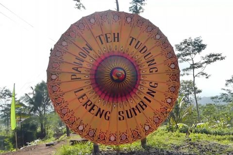 Sensasi Teh Tudung Lereng Sumbing