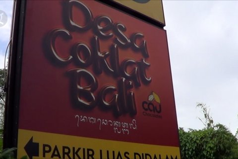 Desa Coklat Bali ajak wisatawan mengolah cokelat dari pohonnya