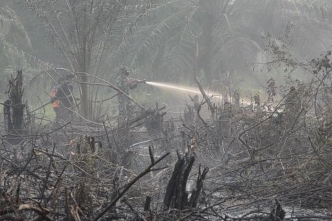 Tiap kabupaten kota di Riau bangun posko siaga dan siapkan ekskavator