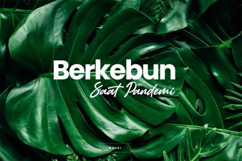 Berkebun Saat Pandemi