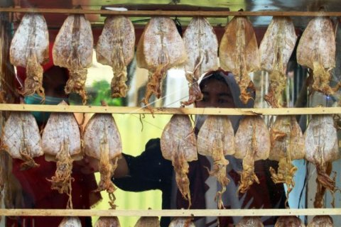 Kampung Sotong Pangkong Pontianak