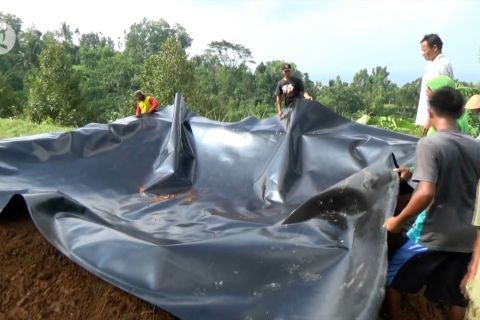 20 embung mini untuk tingkatkan hasil panen durian