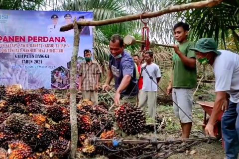 Menkop Teten ungkap tiga kunci UMKM berbasis sawit dapat tumbuh