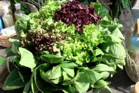 Deklarasi warga Bandung dorong program ketahanan pangan