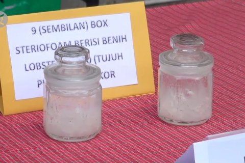 Ditreskrimsus Polda Jabar gagalkan penyelundupan 70.000 benur