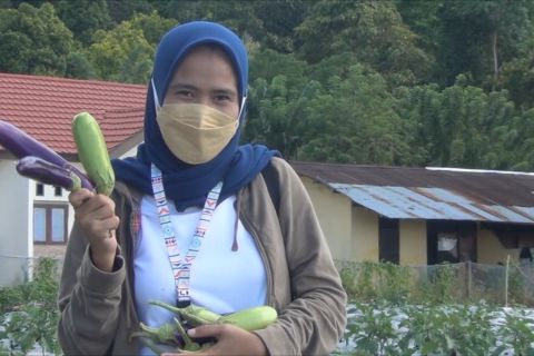 Polsek Leihitu optimalkan lahan kosong menjadi perkebunan