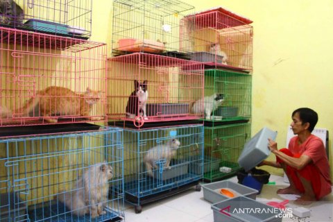 Jasa penitipan hewan