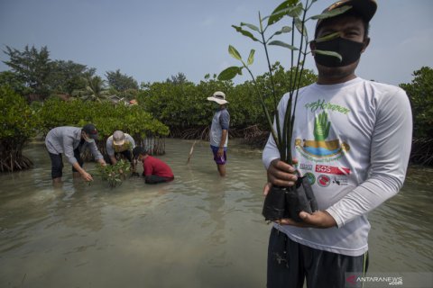 Peringatan Hari Keanekaragaman Hayati Sedunia di Pulau Harapan