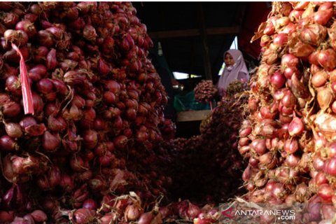 Harga bawang merah turun di tingkat petani