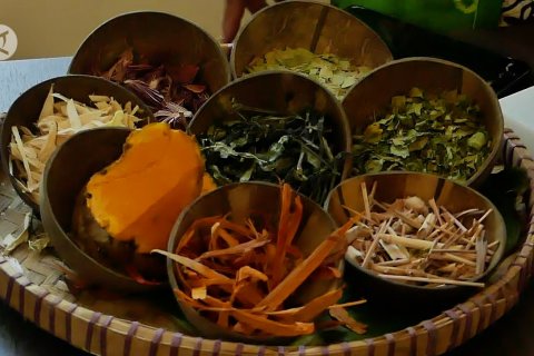 Dinkes Temanggung luncurkan layanan kesehatan tradisional