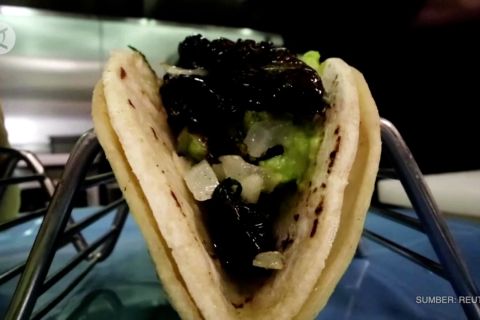 Taco jangkrik, ada yang mau?