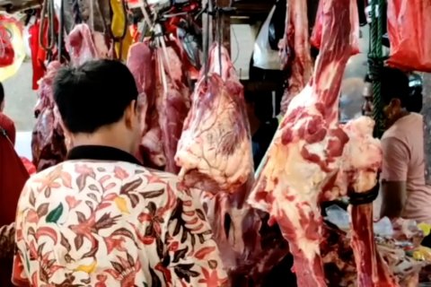 Diskumdag Pontianak pangkas rantai distribusi untuk stabilitas harga daging sapi