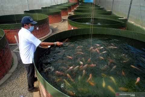 Pusat pengembangan teknologi pertanian IPB