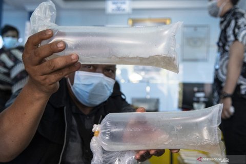 Kasus penyelundupan benih lobster