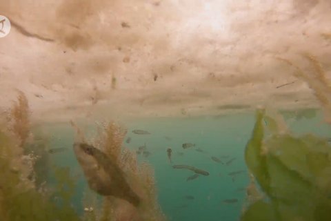 Berantas ingus laut, Turki naikkan level oksigen di Laut Marmara