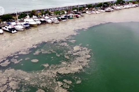 Masalah serius ingus laut di Marmara Turki