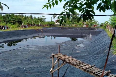 Pemprov Sumbar dorong Pemda revisi aturan tata ruang