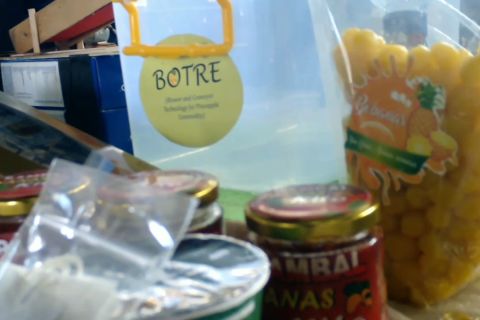 Tingkatkan daya saing komoditas nanas dan pinang melalui inovasi produk