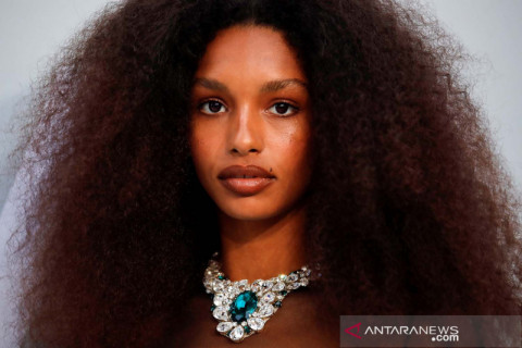 Glamornya Festival Film Cannes ke-74