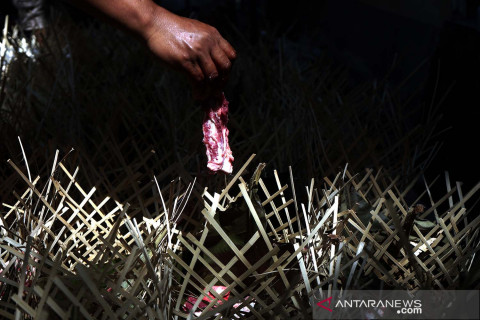 Penggunaan kemasan ramah lingkungan daging kurban