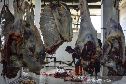 Layanan penyembelihan hewan kurban di RPH