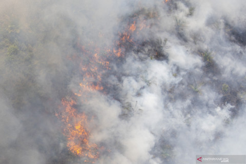 Kebakaran Lahan Perkebunan Kelapa Sawit di OKI
