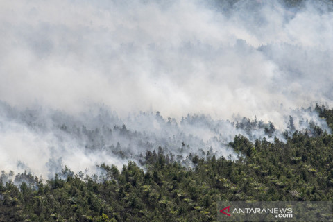 Kebakaran lahan di Ogan Komering Ilir