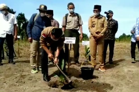 Pemprov Jambi perkuat komoditas unggulan