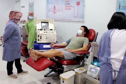 Permintaan plasma konvalesen di Jember terus meningkat