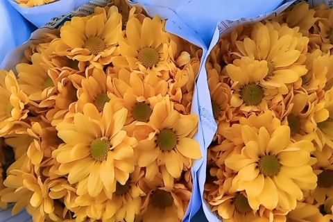 Tingginya pesanan karangan bunga ucapan duka cita