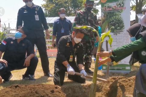 Mentan kunjungi kawasan pertanian terintegrasi di Boyolali