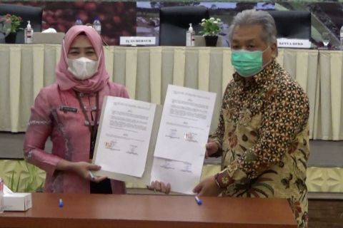 Pemprov Kalsel kembangkan Integrasi Sawit dan Sapi