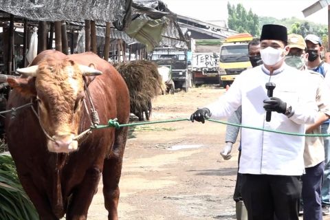Wagub DKI apresiasi pemotongan hewan kurban di RPH