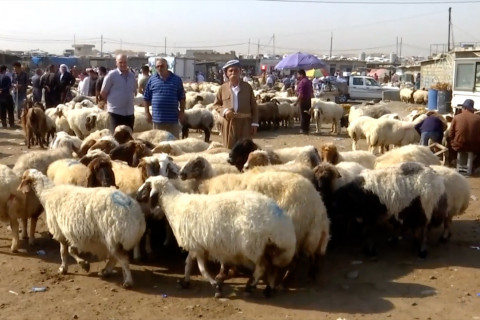 Sejumlah Negara berpenduduk muslim bersiap sambut Idul Adha