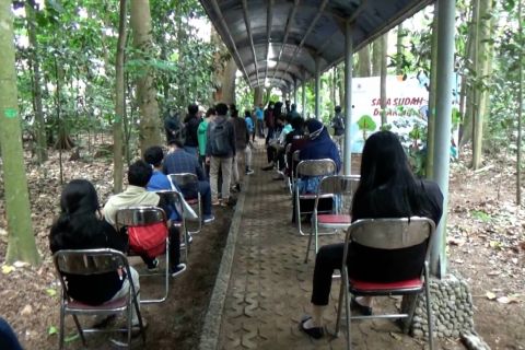 Vaksniasi mahasiswa UGM di tengah hutan mini