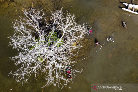 Kehidupan anak Suku Bajo