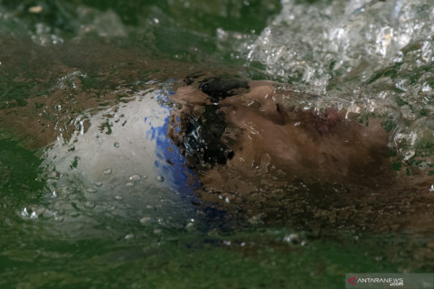 Latihan Atlet Renang NPC Sumsel