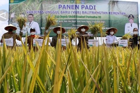 Akselerasi pembangunan sektor pertanian di Kubu Raya