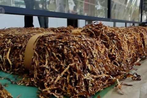 Pantau harga, Bupati Temanggung tinjau gudang tembakau