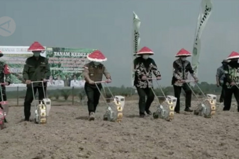 Gubernur Jambi ajak masyarakat manfaatkan lahan tidur untuk pertanian
