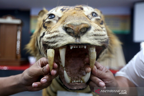 Pelatihan identifikasi kejahatan satwa liar