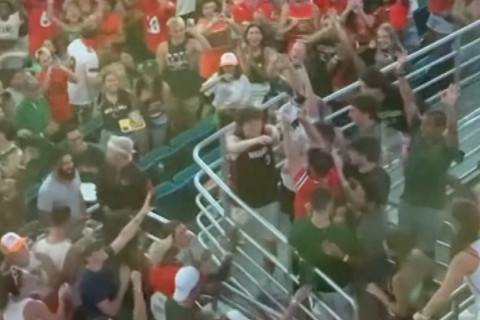 Aksi penyelamatan kucing yang jatuh di Stadion Hard Rock