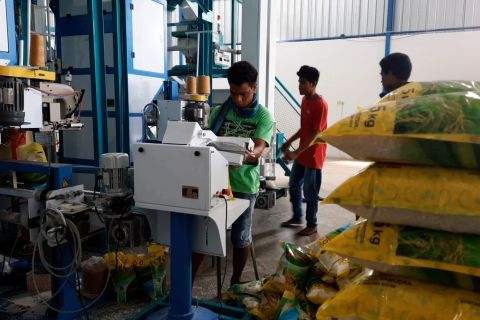 Angka pengangguran NTB turun 0,3 persen meski masih pandemi