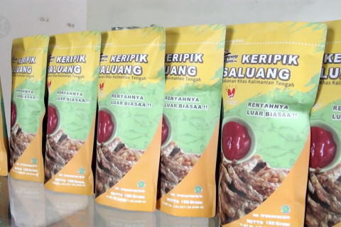 Dinas Perikanan Palangka Raya dorong UMKM dapatkan sertifikat
