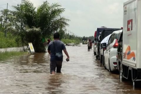 Kalteng bersiaga hadapi bencana akibat perubahan iklim ekstrem