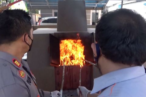 Balai Karantina Banjarmasin musnahkan benih impor dari tujuh negara